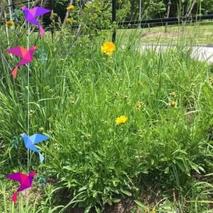 Meet your Posher, Ferdousi